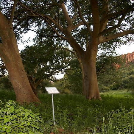 הוילה Waterberg Wilderness - One Namibia מראה חיצוני תמונה
